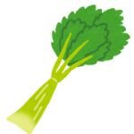 vegetable_celery